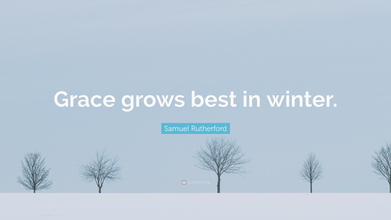 Samuel Rutherford Quote: “Grace grows best in winter.”