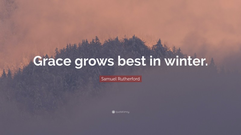 Samuel Rutherford Quote: “Grace grows best in winter.”