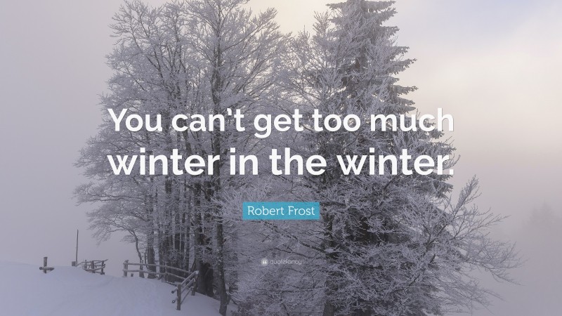 Robert Frost Quote: “You can’t get too much winter in the winter.”