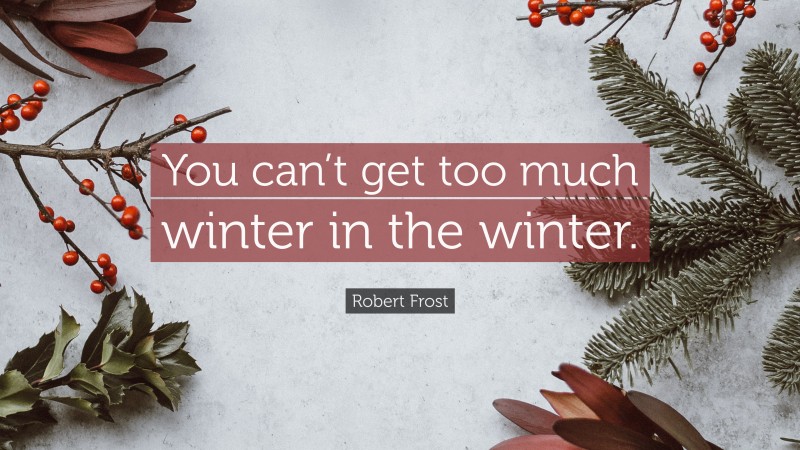 Robert Frost Quote: “You can’t get too much winter in the winter.”