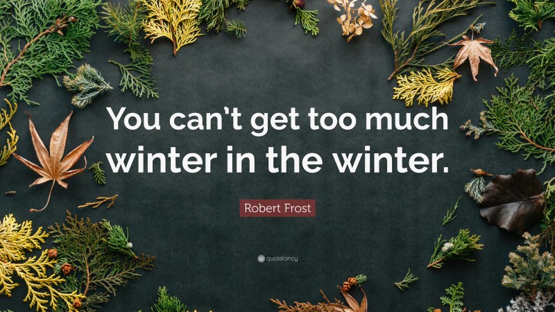 Robert Frost Quote: “You can’t get too much winter in the winter.”