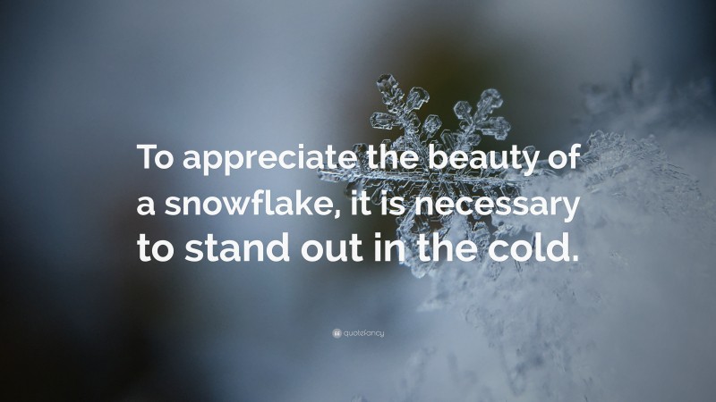 “To appreciate the beauty of a snowflake, it is necessary to stand out in the cold.” — Desktop Wallpaper