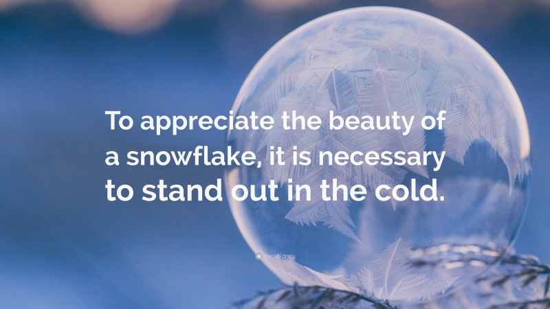“To appreciate the beauty of a snowflake, it is necessary to stand out in the cold.” — Desktop Wallpaper
