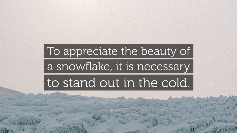 “To appreciate the beauty of a snowflake, it is necessary to stand out in the cold.” — Desktop Wallpaper