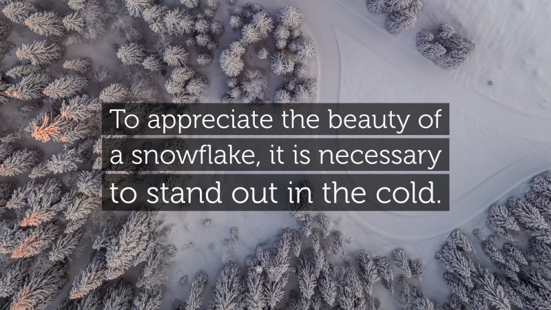 “To appreciate the beauty of a snowflake, it is necessary to stand out ...