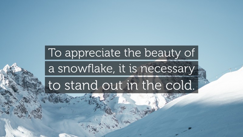 “To appreciate the beauty of a snowflake, it is necessary to stand out in the cold.” — Desktop Wallpaper