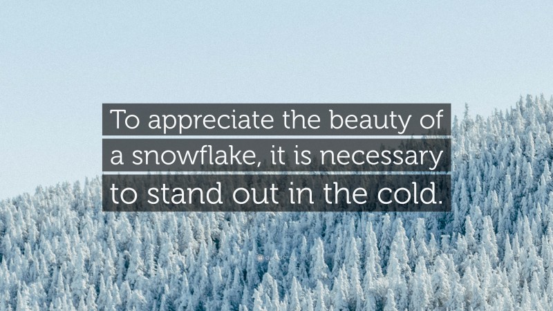 “To appreciate the beauty of a snowflake, it is necessary to stand out in the cold.” — Desktop Wallpaper