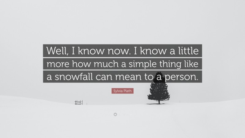 Sylvia Plath Quote: “Well, I know now. I know a little more how much a simple thing like a snowfall can mean to a person.”