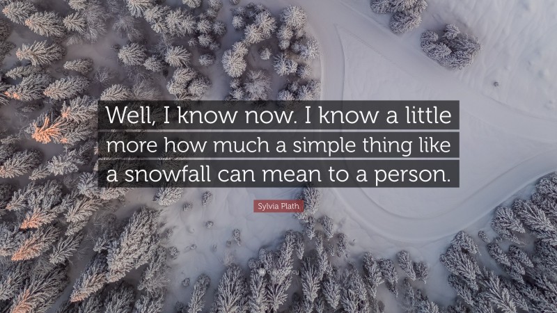 Sylvia Plath Quote: “Well, I know now. I know a little more how much a simple thing like a snowfall can mean to a person.”