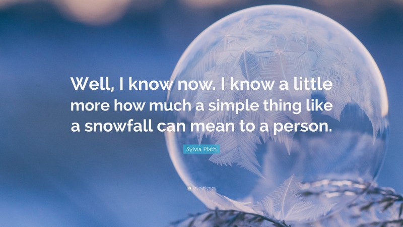 Sylvia Plath Quote: “Well, I know now. I know a little more how much a simple thing like a snowfall can mean to a person.”
