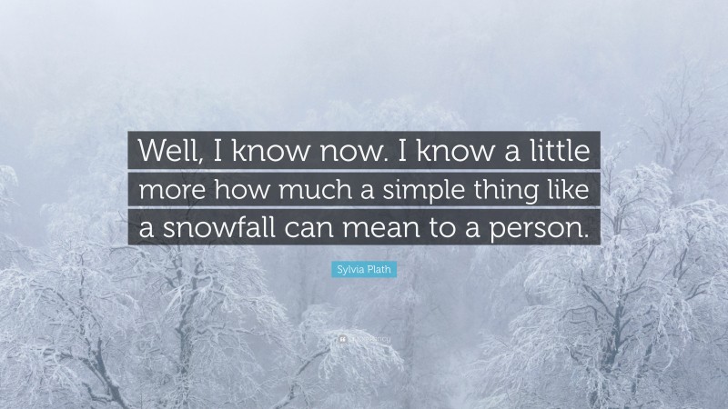 Sylvia Plath Quote: “Well, I know now. I know a little more how much a simple thing like a snowfall can mean to a person.”
