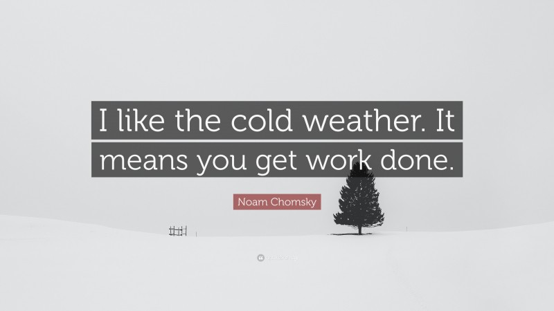 Noam Chomsky Quote: “I like the cold weather. It means you get work done.”