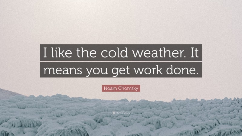 Noam Chomsky Quote: “I like the cold weather. It means you get work done.”