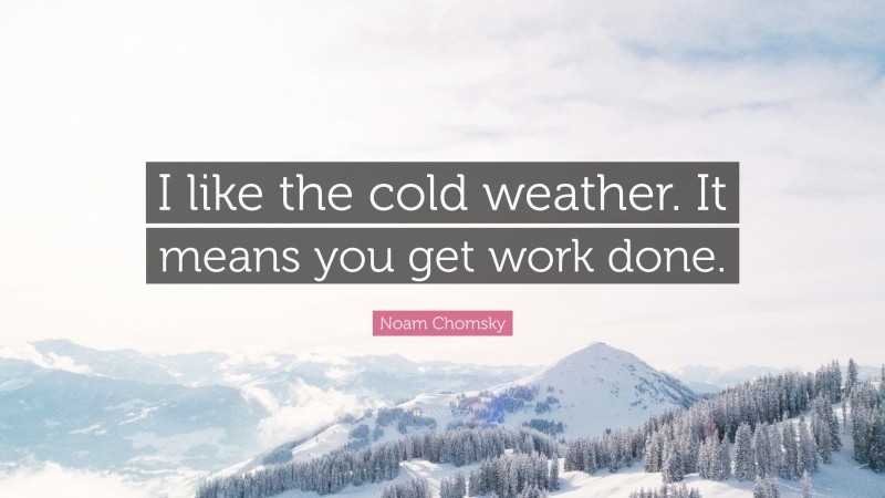 Noam Chomsky Quote: “I like the cold weather. It means you get work done.”