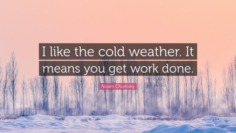 Noam Chomsky Quote: “I like the cold weather. It means you get work done.”