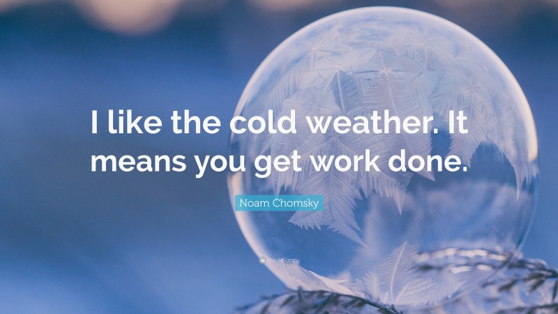 Noam Chomsky Quote: “I like the cold weather. It means you get work done.”