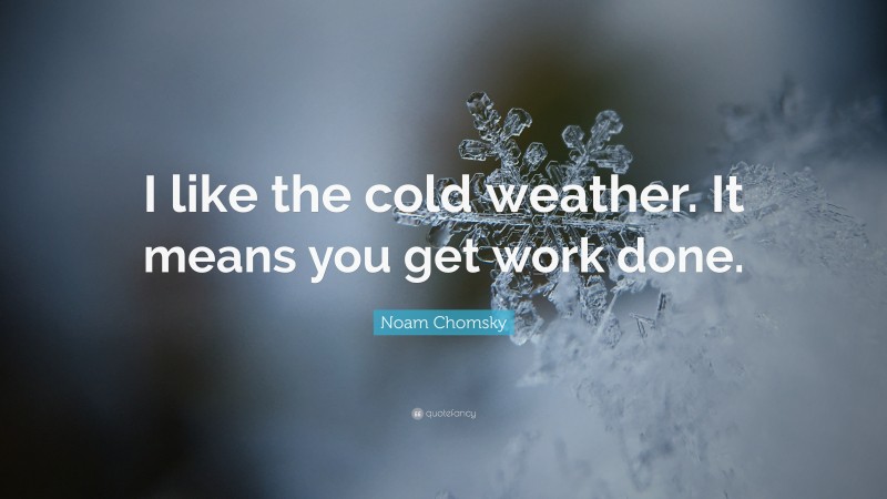Noam Chomsky Quote: “I like the cold weather. It means you get work done.”