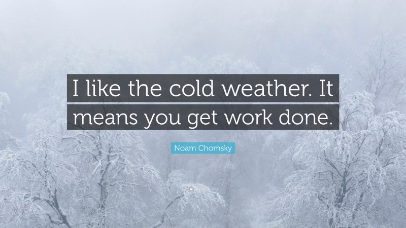 Noam Chomsky Quote: “I like the cold weather. It means you get work done.”