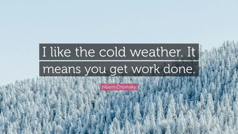Noam Chomsky Quote: “I like the cold weather. It means you get work done.”