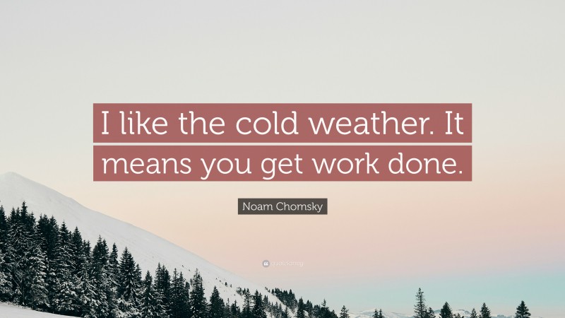 Noam Chomsky Quote: “I like the cold weather. It means you get work done.”