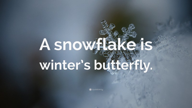 “A snowflake is winter’s butterfly.” — Desktop Wallpaper