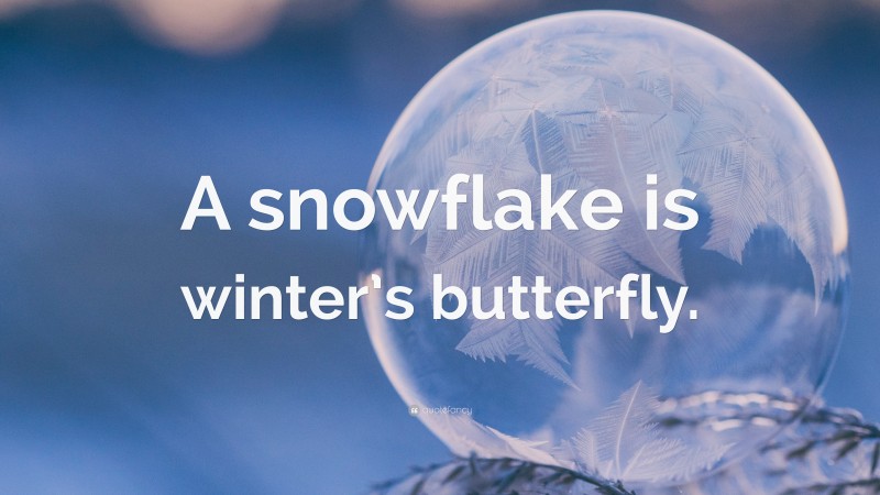 “A snowflake is winter’s butterfly.” — Desktop Wallpaper