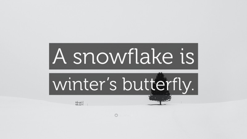 “A snowflake is winter’s butterfly.” — Desktop Wallpaper