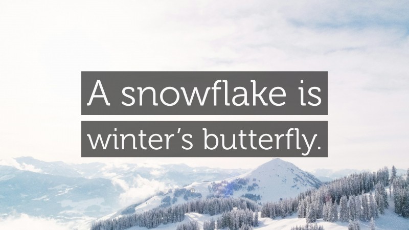 “A snowflake is winter’s butterfly.” — Desktop Wallpaper