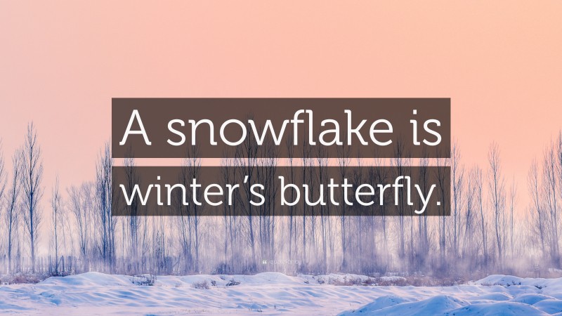 “A snowflake is winter’s butterfly.” — Desktop Wallpaper