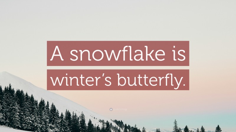“A snowflake is winter’s butterfly.” — Desktop Wallpaper