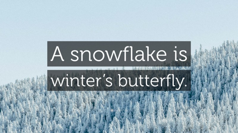 “A snowflake is winter’s butterfly.” — Desktop Wallpaper