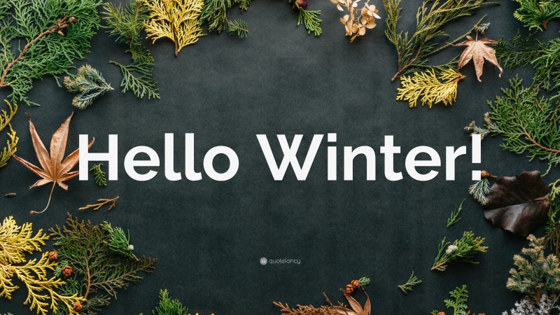 “Hello Winter!” — Desktop Wallpaper
