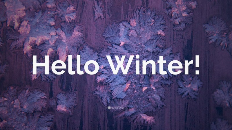 “Hello Winter!” — Desktop Wallpaper