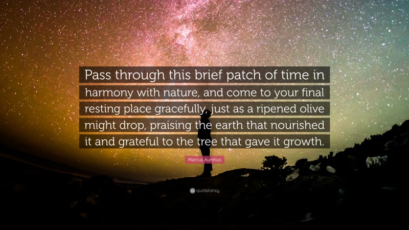 Marcus Aurelius Quote: “Pass through this brief patch of time in harmony with nature, and come to your final resting place gracefully, just as a ripened olive might drop, praising the earth that nourished it and grateful to the tree that gave it growth.”