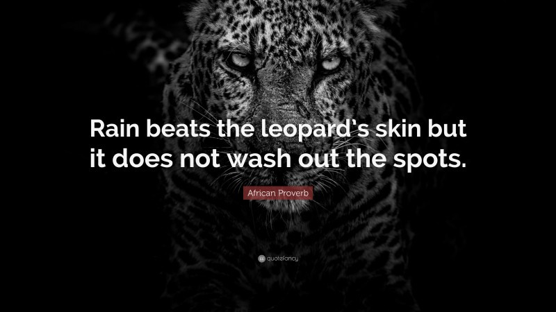 African Proverb Quote: “Rain beats the leopard’s skin but it does not wash out the spots.”