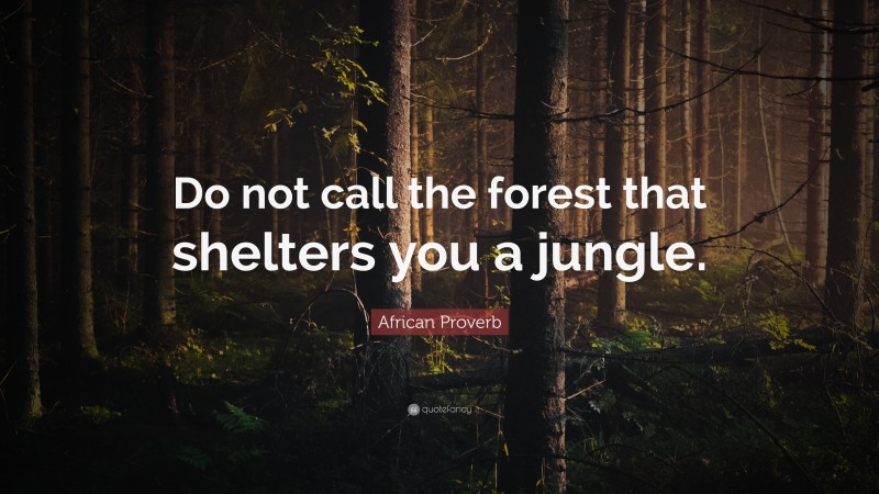 African Proverb Quote: “Do not call the forest that shelters you a jungle.”