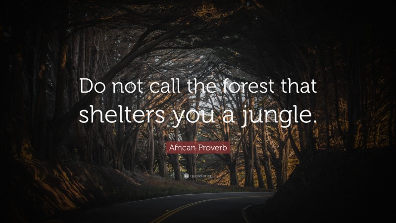 African Proverb Quote: “Do not call the forest that shelters you a jungle.”