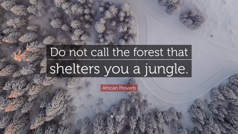 African Proverb Quote: “Do not call the forest that shelters you a jungle.”