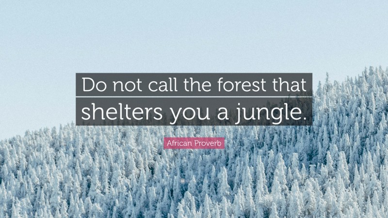 African Proverb Quote: “Do not call the forest that shelters you a jungle.”