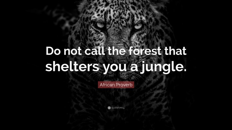 African Proverb Quote: “Do not call the forest that shelters you a jungle.”