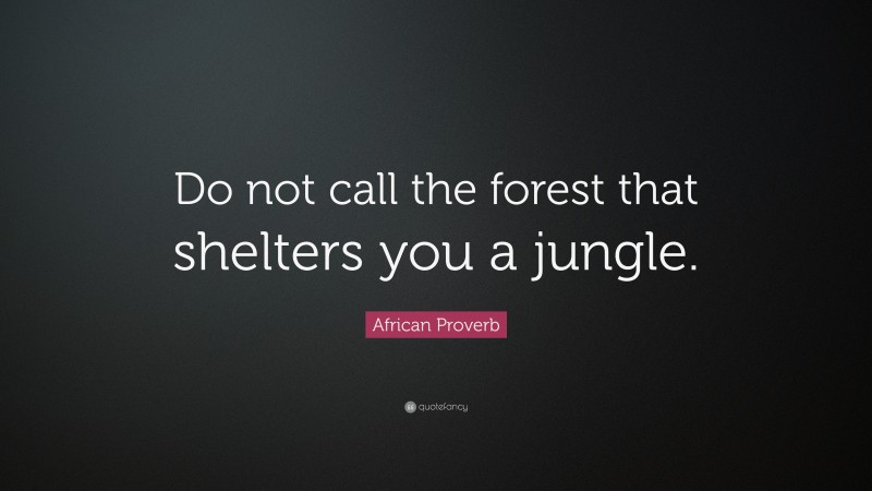 African Proverb Quote: “Do not call the forest that shelters you a jungle.”