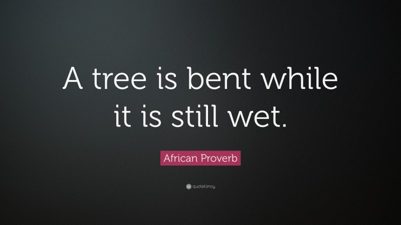 African Proverb Quote: “A tree is bent while it is still wet.”