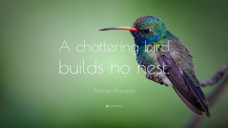 African Proverb Quote: “A chattering bird builds no nest.”