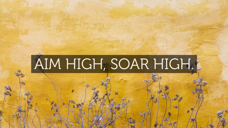 “AIM HIGH, SOAR HIGH.” — Desktop Wallpaper