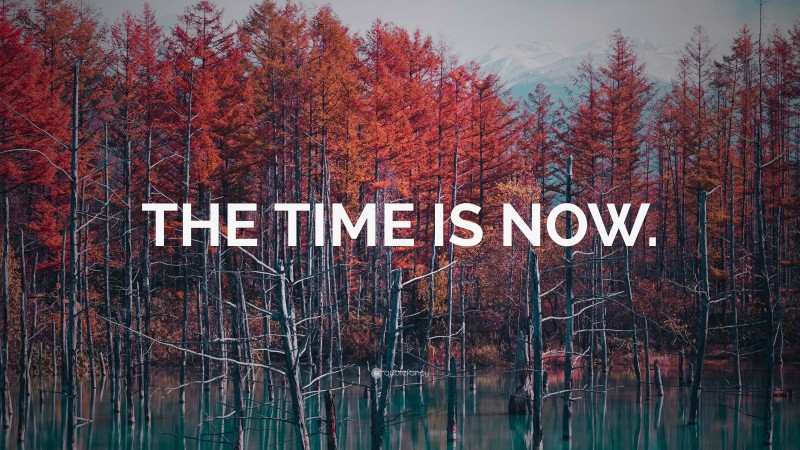 “THE TIME IS NOW.” Wallpaper by QuoteFancy