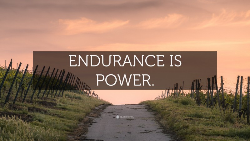 “ENDURANCE IS POWER.” — Desktop Wallpaper