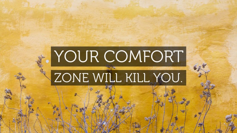 “YOUR COMFORT ZONE WILL KILL YOU.” — Desktop Wallpaper