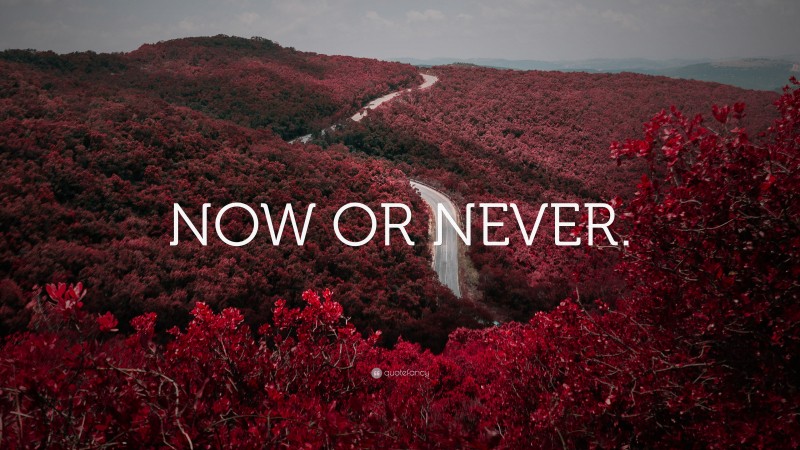 “NOW OR NEVER.” — Desktop Wallpaper
