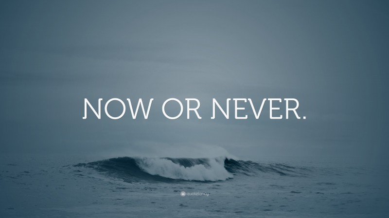 “NOW OR NEVER.” — Desktop Wallpaper