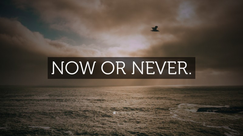 “NOW OR NEVER.” — Desktop Wallpaper